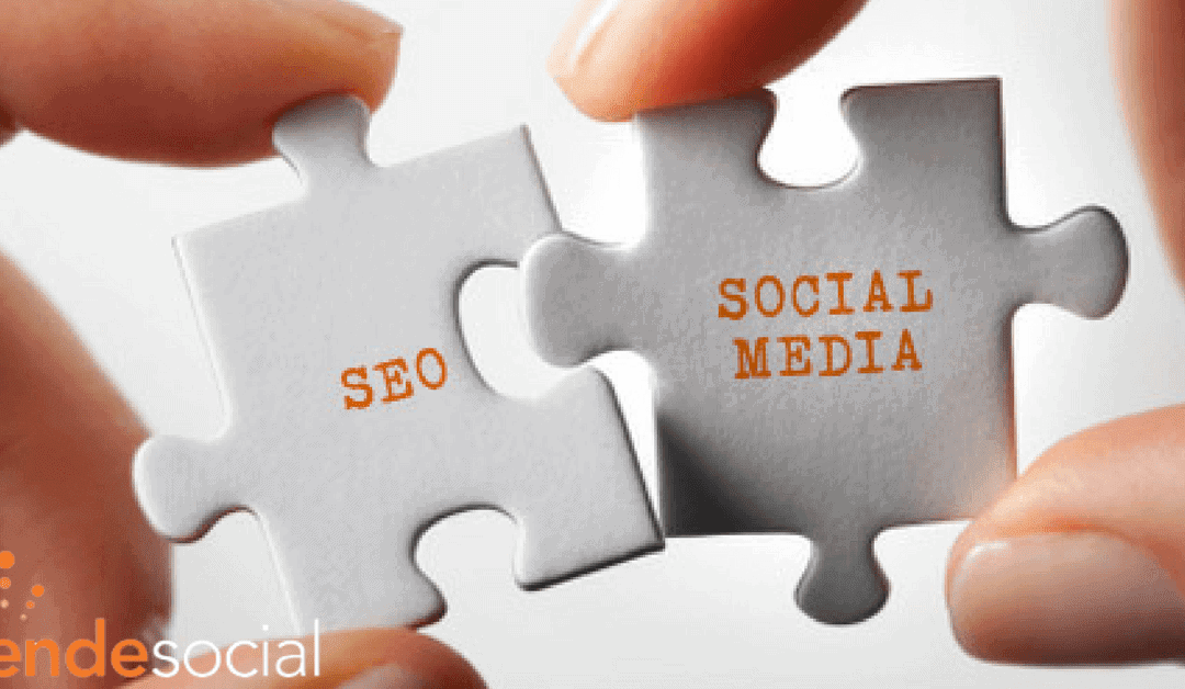 How is SEO impacted by Social Media Participation?